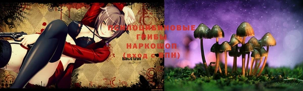 синтетический гашиш Алексеевка