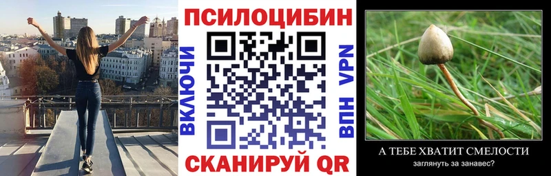 наркотики  Змеиногорск  Галлюциногенные грибы Psilocybe 
